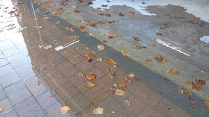 Landscape image of a flooded garage filled with leaves and water